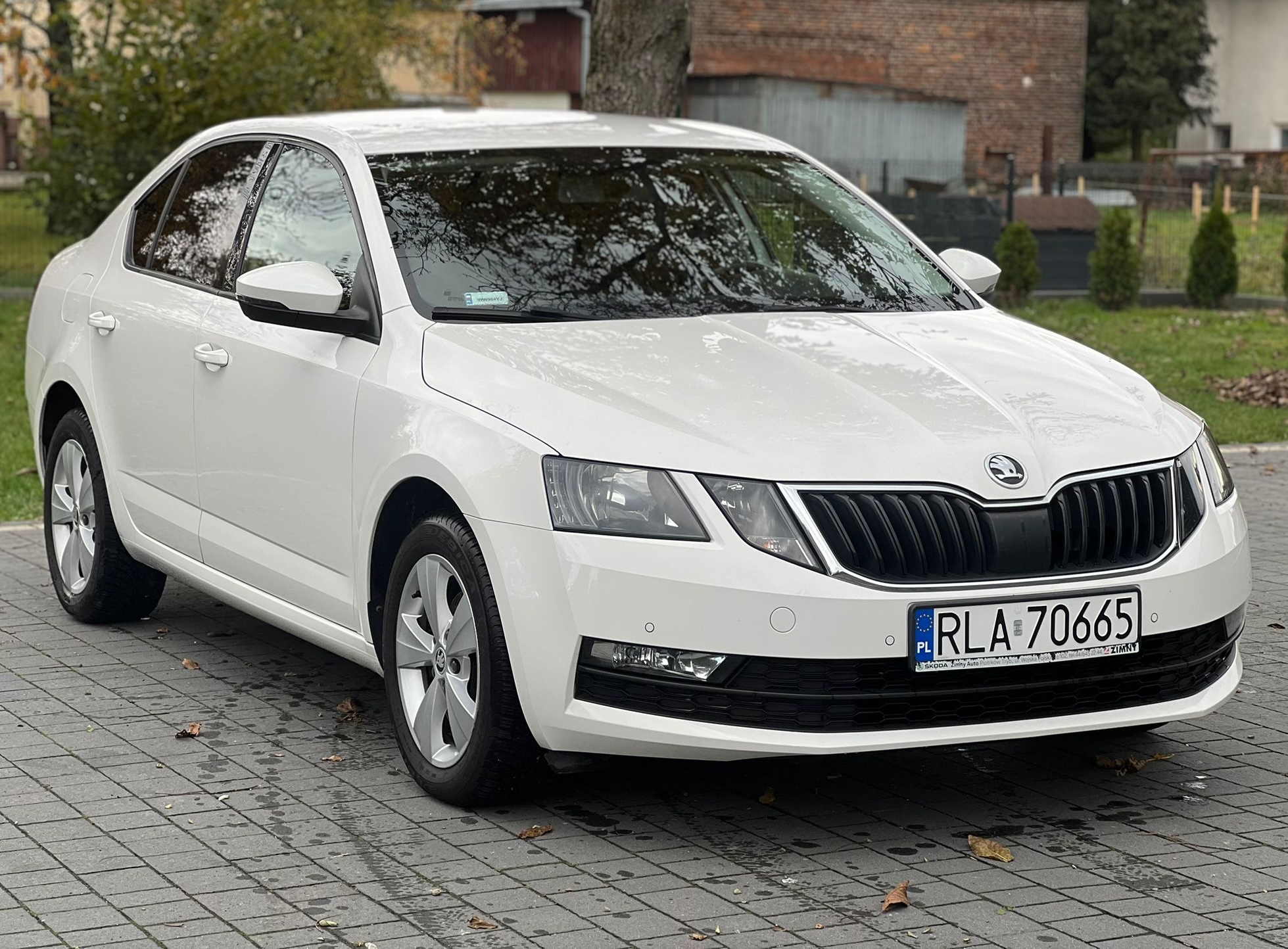 
Skoda Octavia Ambition full									