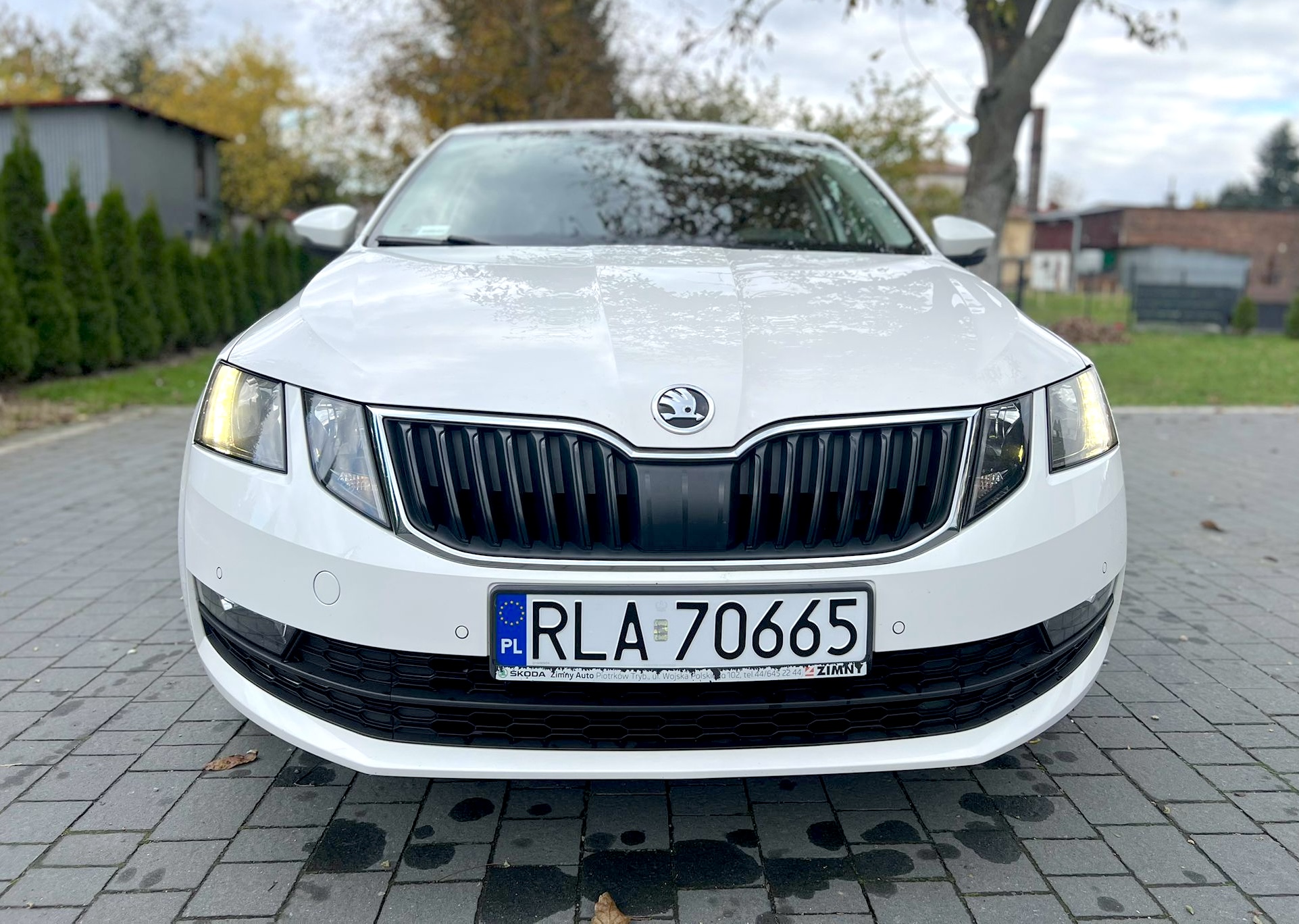 
Skoda Octavia Ambition full									
