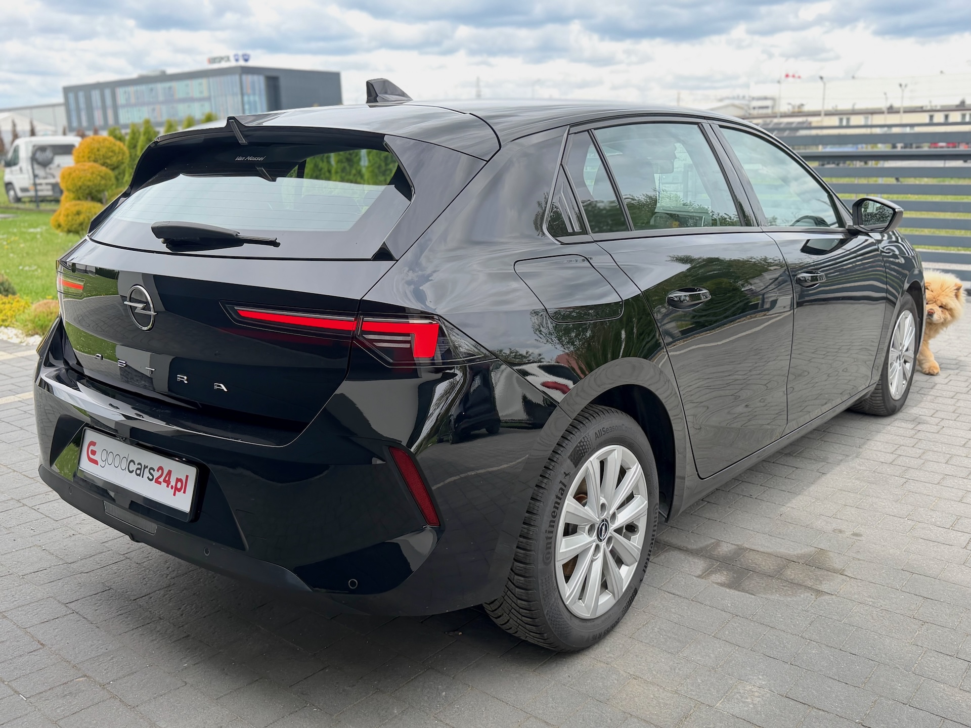 
Opel Astra L (hatchback) full									